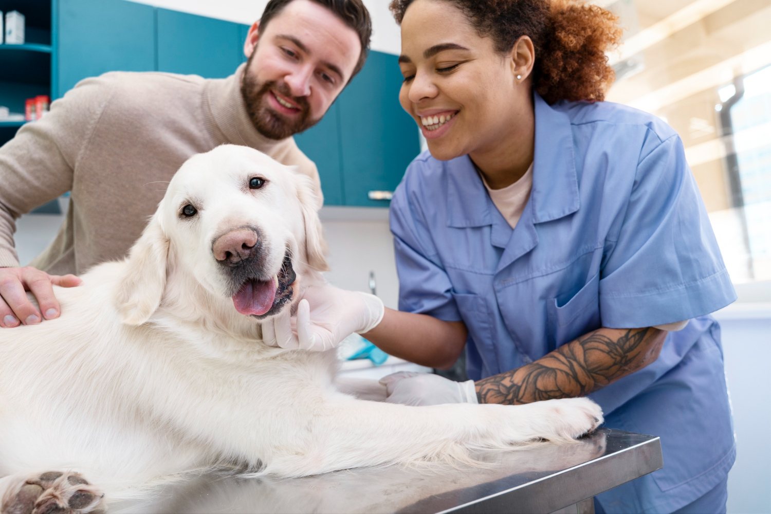 Veterinary Assistant